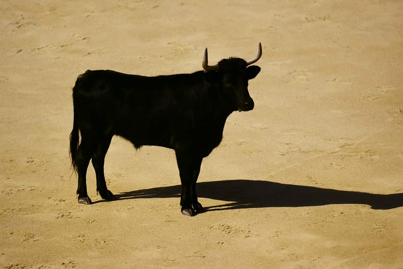 Bitcoin Liquidity Rotation Turns Bullish Again As Stablecoin Shelter Starts To Unwind