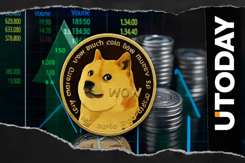 Dogecoin Outshines the NFT Market by 800%!