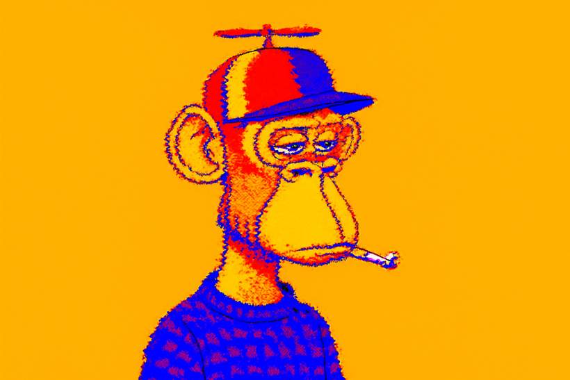 Steve Aoki's Crypto Adventure: From NFTs to Liquidation