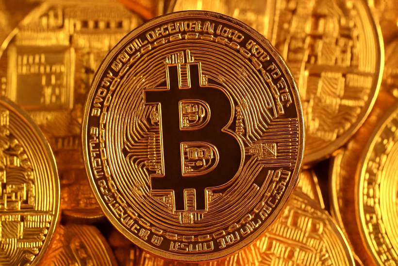 The Wild World of Crypto: Risks and Rewards in the Investor Jungle